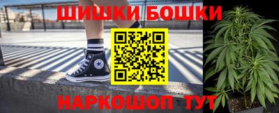 прущие грибы Сланцы