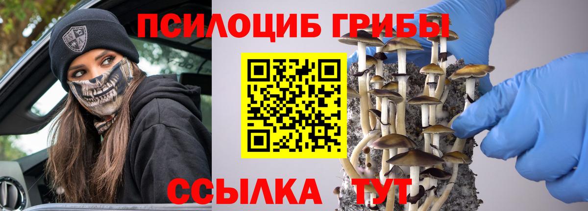 Новотроицк  наркошоп  Псилоцибиновые грибы ЛСД  Вход с VPN  Галлюциногенные грибы Psilocybe 