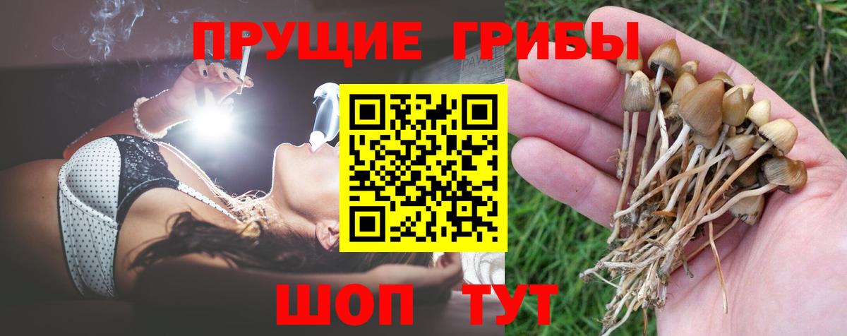 Галлюциногенные грибы GOLDEN TEACHER Новотроицк