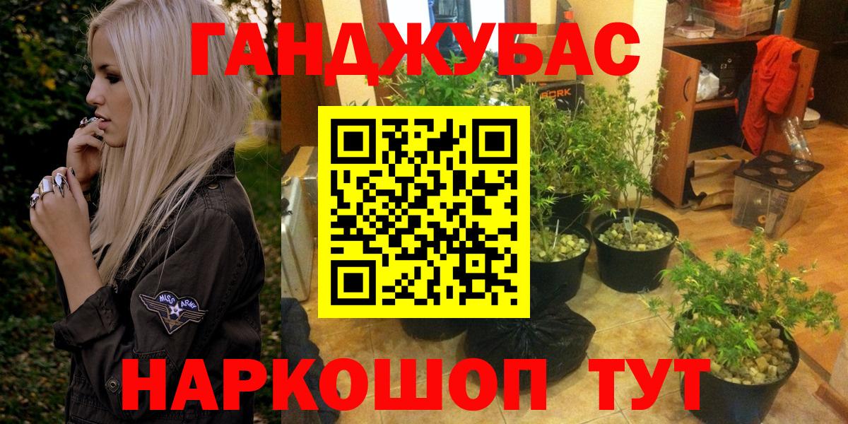 Бошки Шишки гибрид  Марихуана семена  Новотроицк  Вход с VPN 